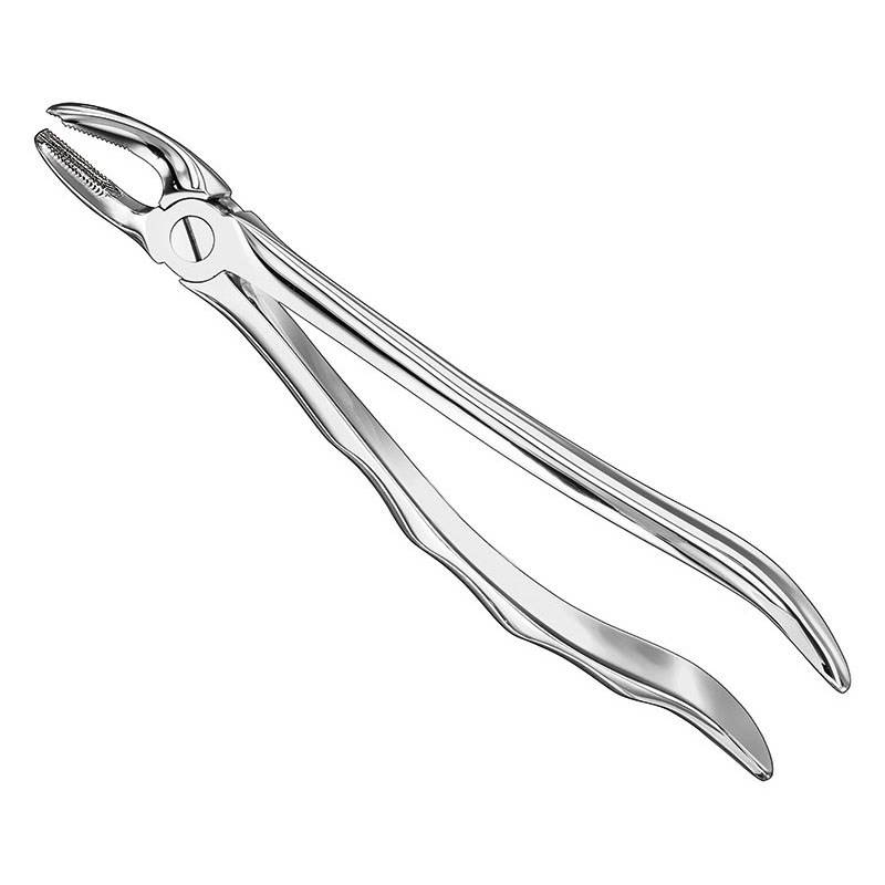 Extracting forceps, anat.