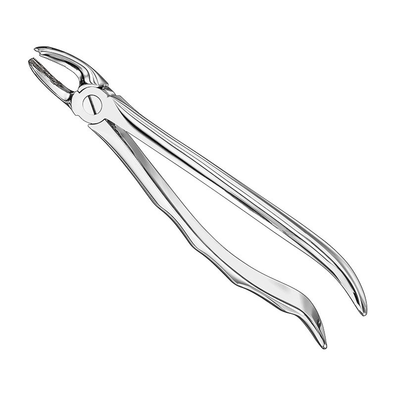 Extracting forceps, anat.