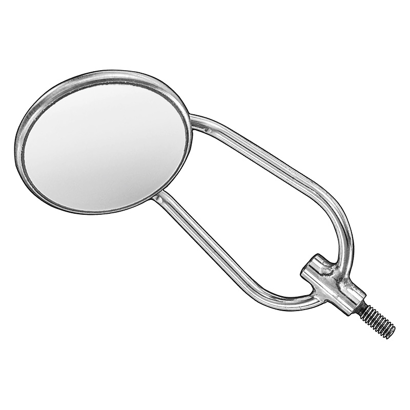 Mouth mirror/cheek retractor