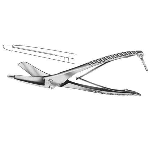 Plaster of Paris Shear