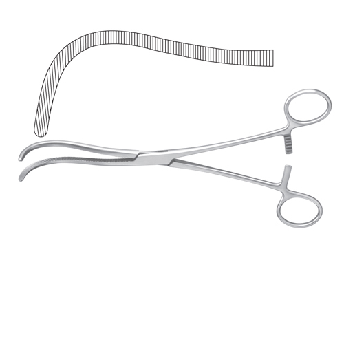 Guyon Kidney Pedicle Clamp